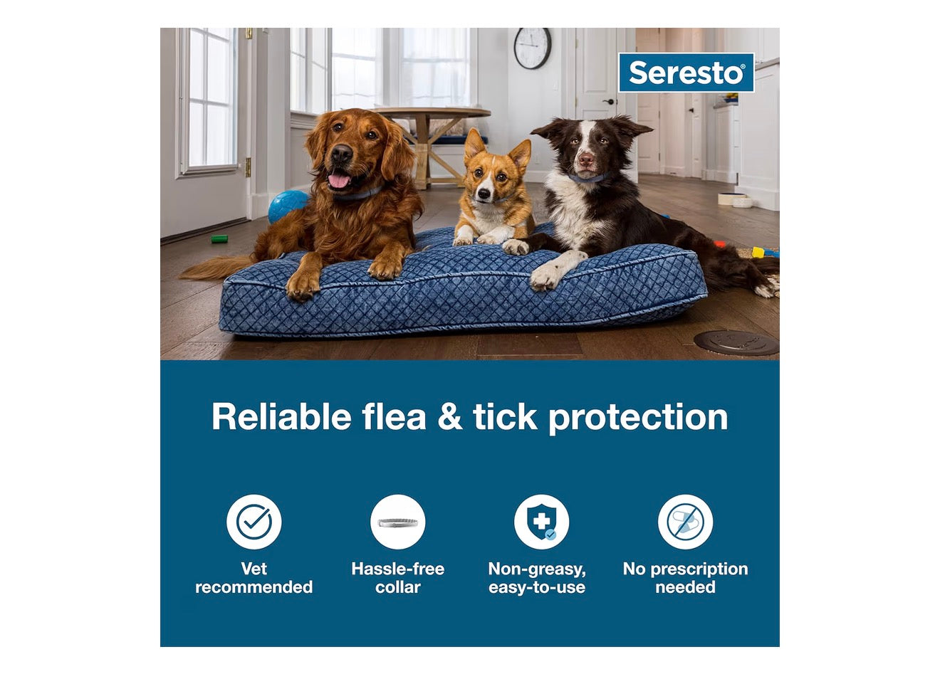 Seresto Flea & Tick Collar For Dogs Over 18 lbs., Treatment & Prevention, Vet-Recommend, 8 Month Protection